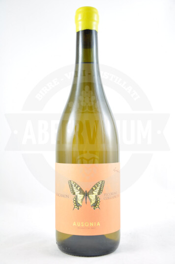 Vino Machaon Pecorino Colli Aprutini IGP 2018 Anfora - Ausonia