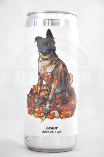 Birra Brewski Brady Lattina 33cl