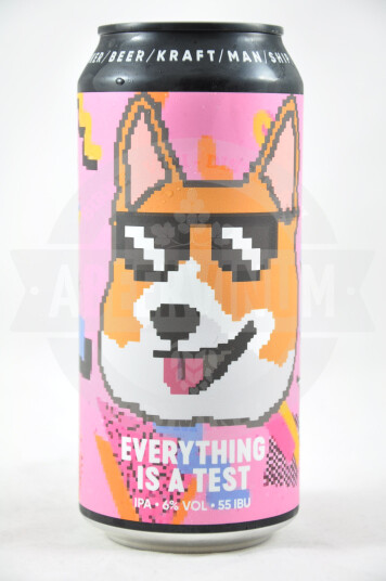 Birra Everything Is A Test lattina 44cl