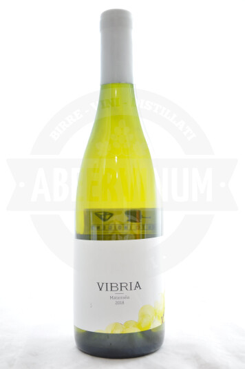 Vino Spagnolo "Vibria" Macabeo 2018 - Sifer Wines
