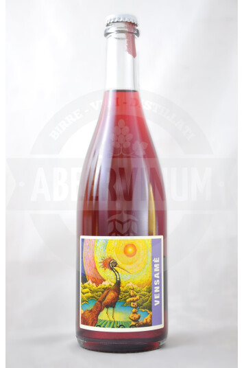 Vino Frizzante Metodo Ancestrale Vensamè - Tenuta Santa Lucia