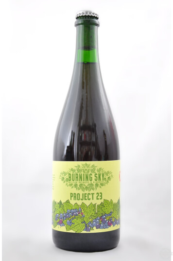 Birra Burning Sky Project 23 75cl