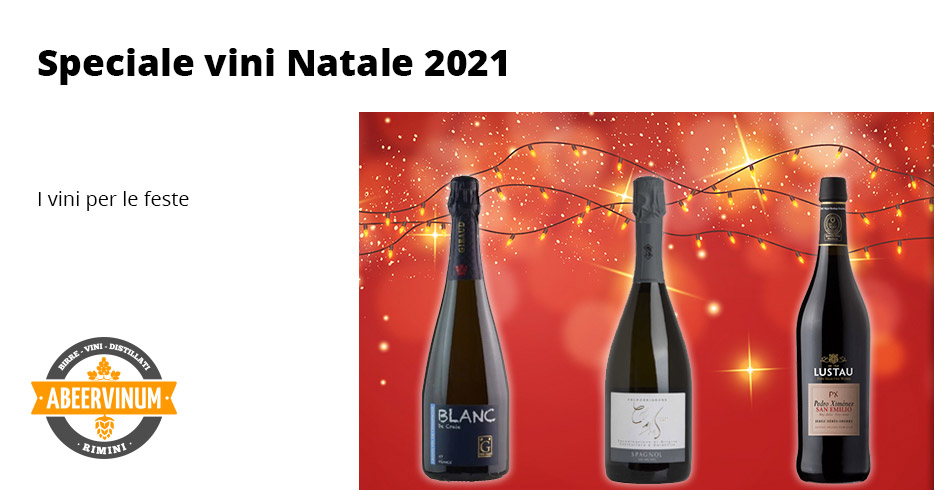 Speciale Natale 2021: i vini per le feste