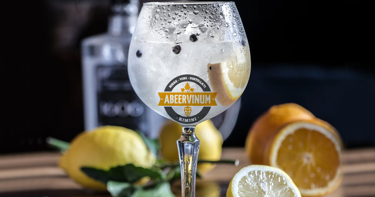 Il GIN: storia e tipologie